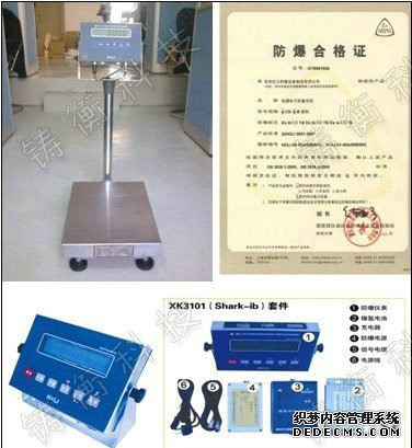 防爆電子午夜视频网站